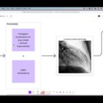 StenoAInet - YOLO Based Deep Learning Framework for Cardiac Disease Detection
